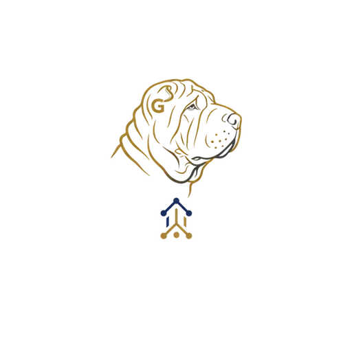 Glexa Consulting
